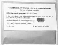 Image Associated With the Occurence